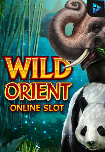 Wild Orient